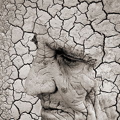 photo "The dryness"