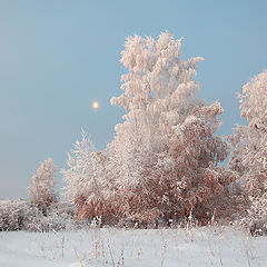 фото "Лунное утро"