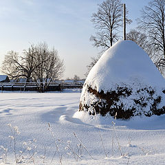 фото "За деревней"