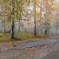 фото "Прозрачная осень"