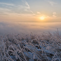 фото "Утро"