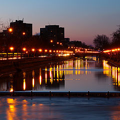 photo "Golden reflections"