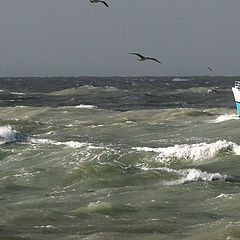 photo "Return of fishing"