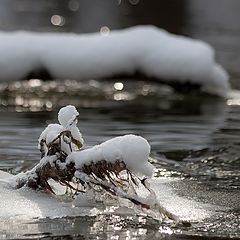 фото "Солнечные зайчики"