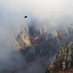 фото "Осенние туманы"