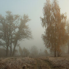 фото "Осенним утром"