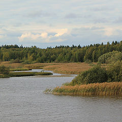 photo "Sheksna River. Volga-Baltic Waterway."