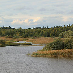 фото "ШЕКСНА. ВБВП"