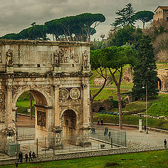 фото "ROME 4235"