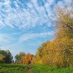 фото "Осенний денёк"
