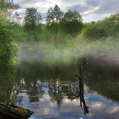 фото "Ёжику в тумане..."