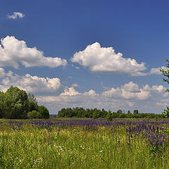 фото "Жаркий июньский день"