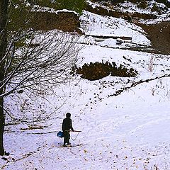 фото "snow ..."