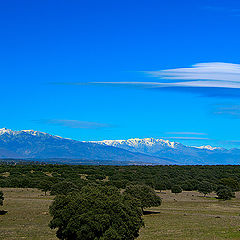 photo "Lenticular cloud"