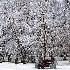 фото "кружева..."