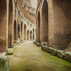 photo "Rome 4277"