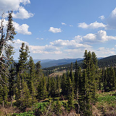 фото "Саяны. Июнь."