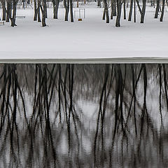 фото "Отражения"