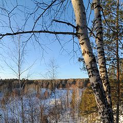 фото "первые дни весны"