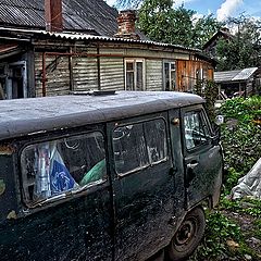 фото "Заглянул через забор"