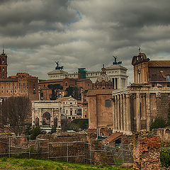 photo "Rome 4376"