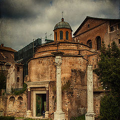 photo "Rome 4383"