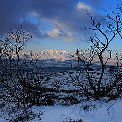 фото "Вечерний Хермон"