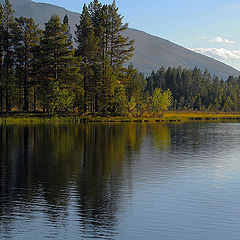 фото "Autumn..."