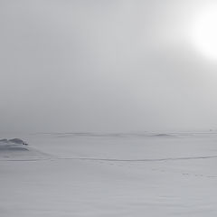 фото "Белыми карандашами..."