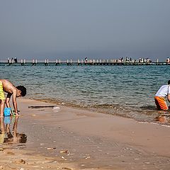 фото "On the BEACH"