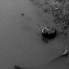 photo "Trap"