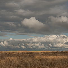 photo "осень"