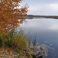 фото "Штиль"