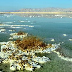 фотоальбом "Мертвое море"