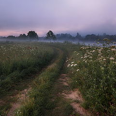 фото "Дорожка вдоль реки"