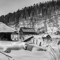 фото "В Саянах"