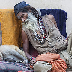фото "Спящие в Варанаси"