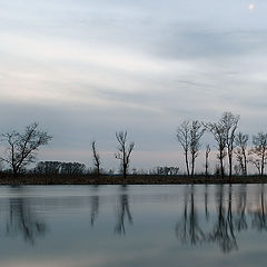 фото "День-ночь."