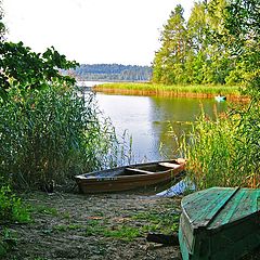 фото "Утренний клев"