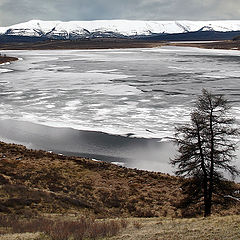 фото "Весенний лед"