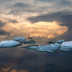 фото "Отзвуки зимы"