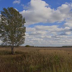 фото "Зарисовка"