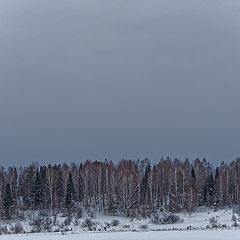 фото "снег"