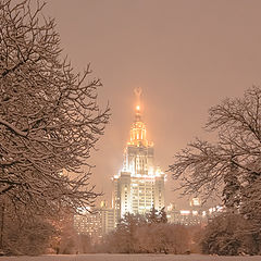 фото "Первый снегопад"