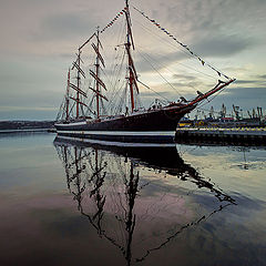 фото "Барк  СЕДОВ"