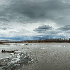 фото "Апрель"