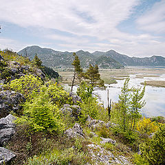 фото "Вид на Скадарское озеро"