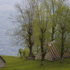 фото "Het kleine huis."