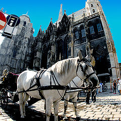 photo "wien"