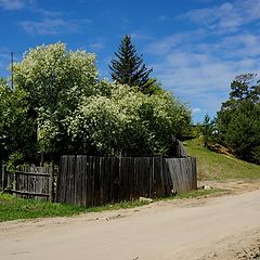 фото "вот моя деревня"